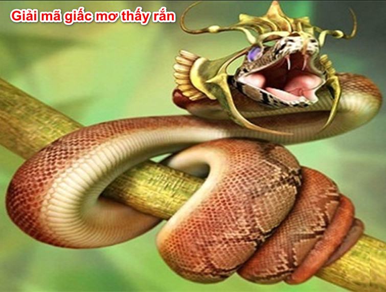 Giải mã giấc mơ thấy rắn đánh con gì Giải mã giấc mơ thấy rắn đánh con gì
