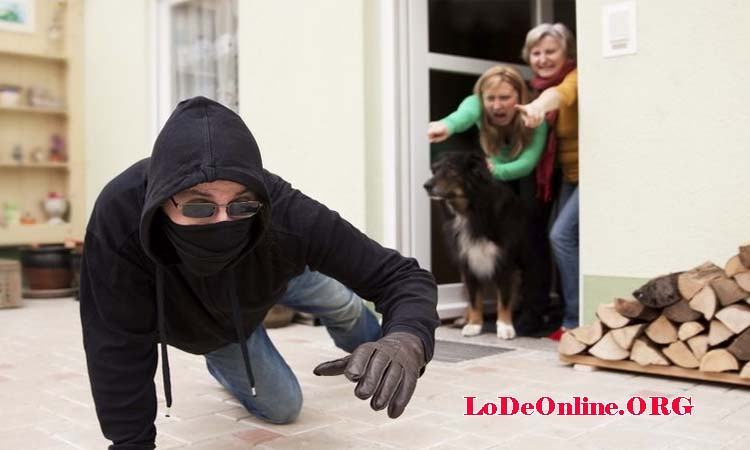 Mơ thấy trộm bị phát hiện Mơ thấy trộm bị phát hiện