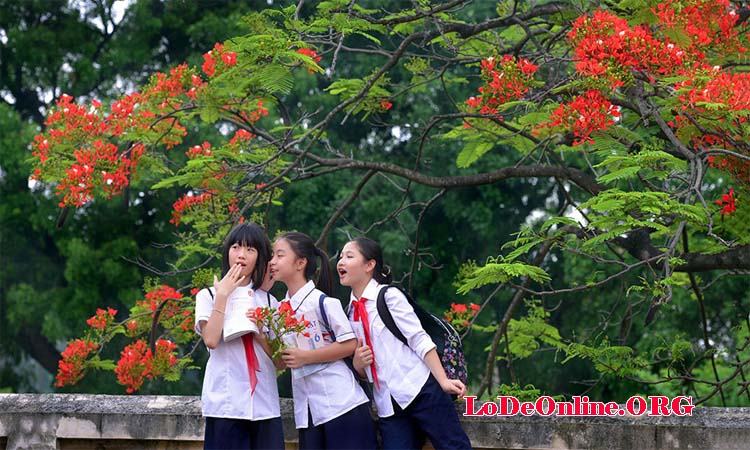 Nằm mơ thấy bạn cũ thời nhỏ Nằm mơ thấy bạn cũ thời nhỏ