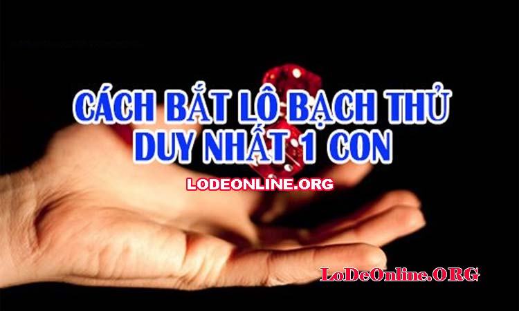bat lo bach thu duy nhat 1 con khong bao gio thua bat lo bach thu duy nhat 1 con khong bao gio thua