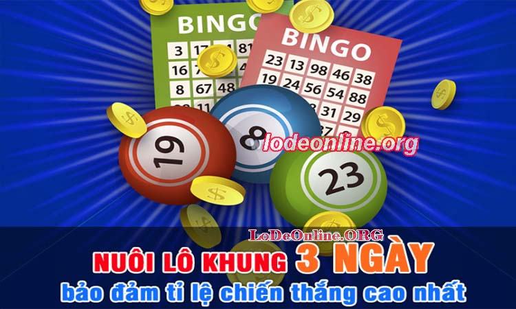 Nuôi lô khung 3 ngày là gì? tong hop cach nuoi lo khung 3 ngay hieu qua