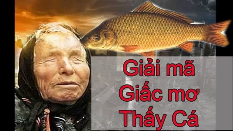 Giải mã giấc mơ thấy cá Giải mã giấc mơ thấy cá