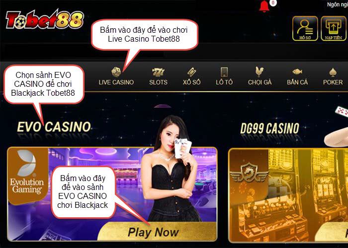 dang nhap tobet88 choi blackjack online Đăng nhập Tobet88 tham gia chơi Blackjack Online