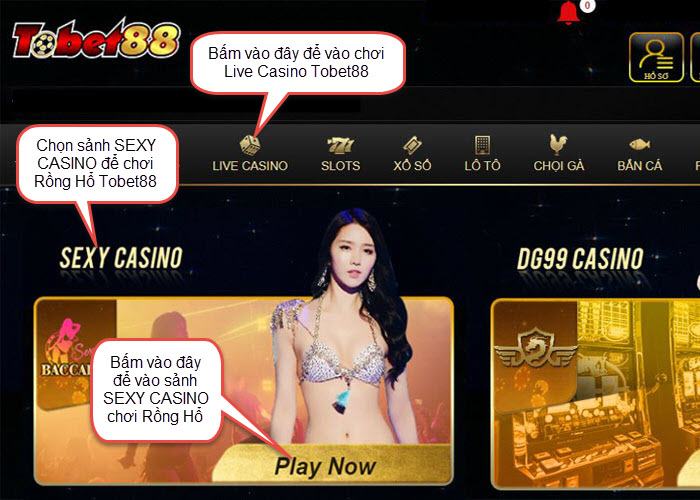 Đăng nhập Tobet88 tham gia chơi Rồng Hổ trực tuyến dang nhap tobet88 choi rong ho truc tuyen Đăng nhập Tobet88 tham gia chơi Rồng Hổ trực tuyến